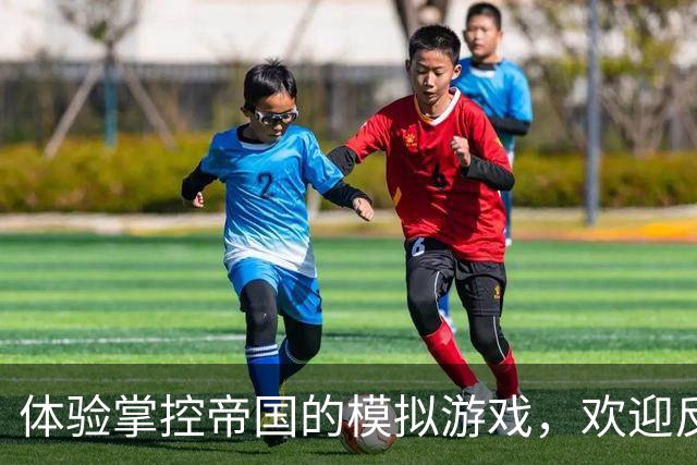 体验掌控帝国的模拟游戏，欢迎反馈意见